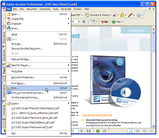 Open the PDF file in Adobe Acrobat or Adobe Reader and press "File->Print..." in application main menu.